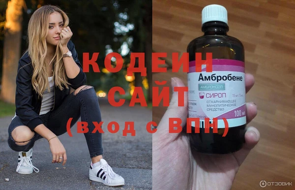 прущие грибы Балахна