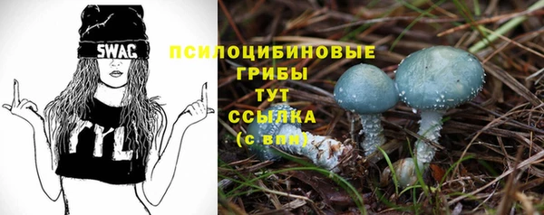 альфа пвп Баксан